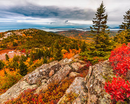 Fall in Maine - your guide to everything fall